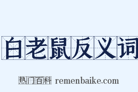 白老鼠反义词是什么意思的图片